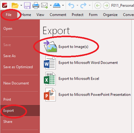 Export PDF file to image