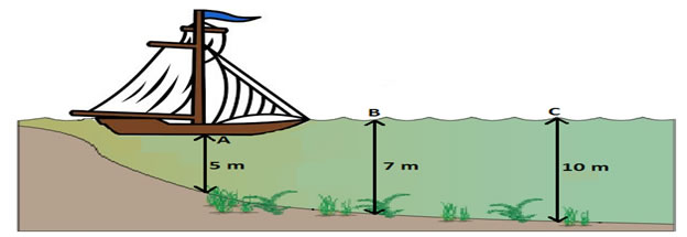 Appendix graph