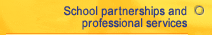 School partnerships and professional services
