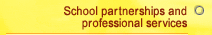 School partnerships and professional services
