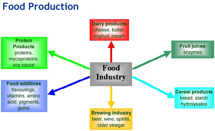 Biotechnology Food Production