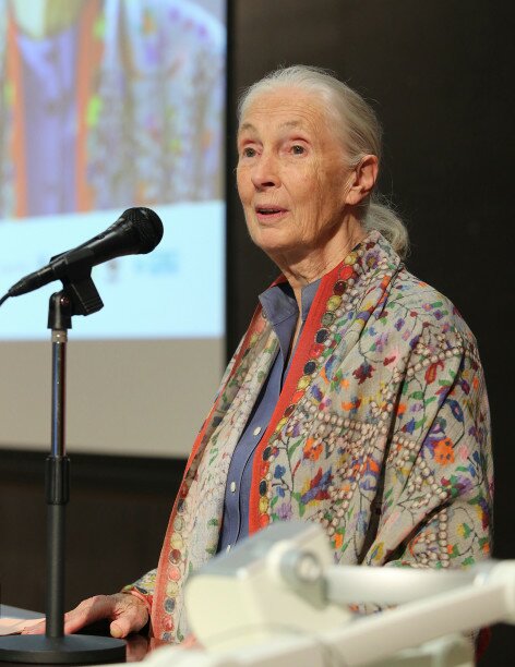 Internationally renowned conservationist Dr Jane Goodall delivers a keynote speech at a symposium organised by EdUHK.