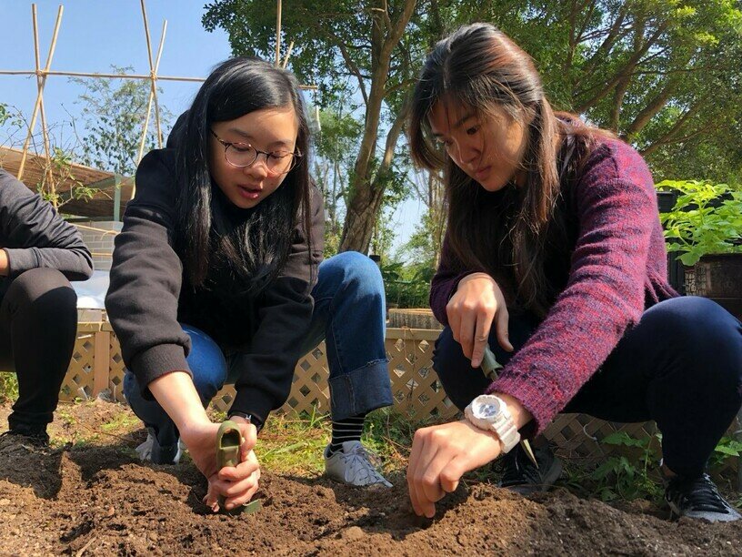 Eco-Garden On Campus Promotes Sustainability Education