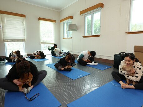 Faculty and staff bring their furry companions to campus and participated in dog-human yoga classe