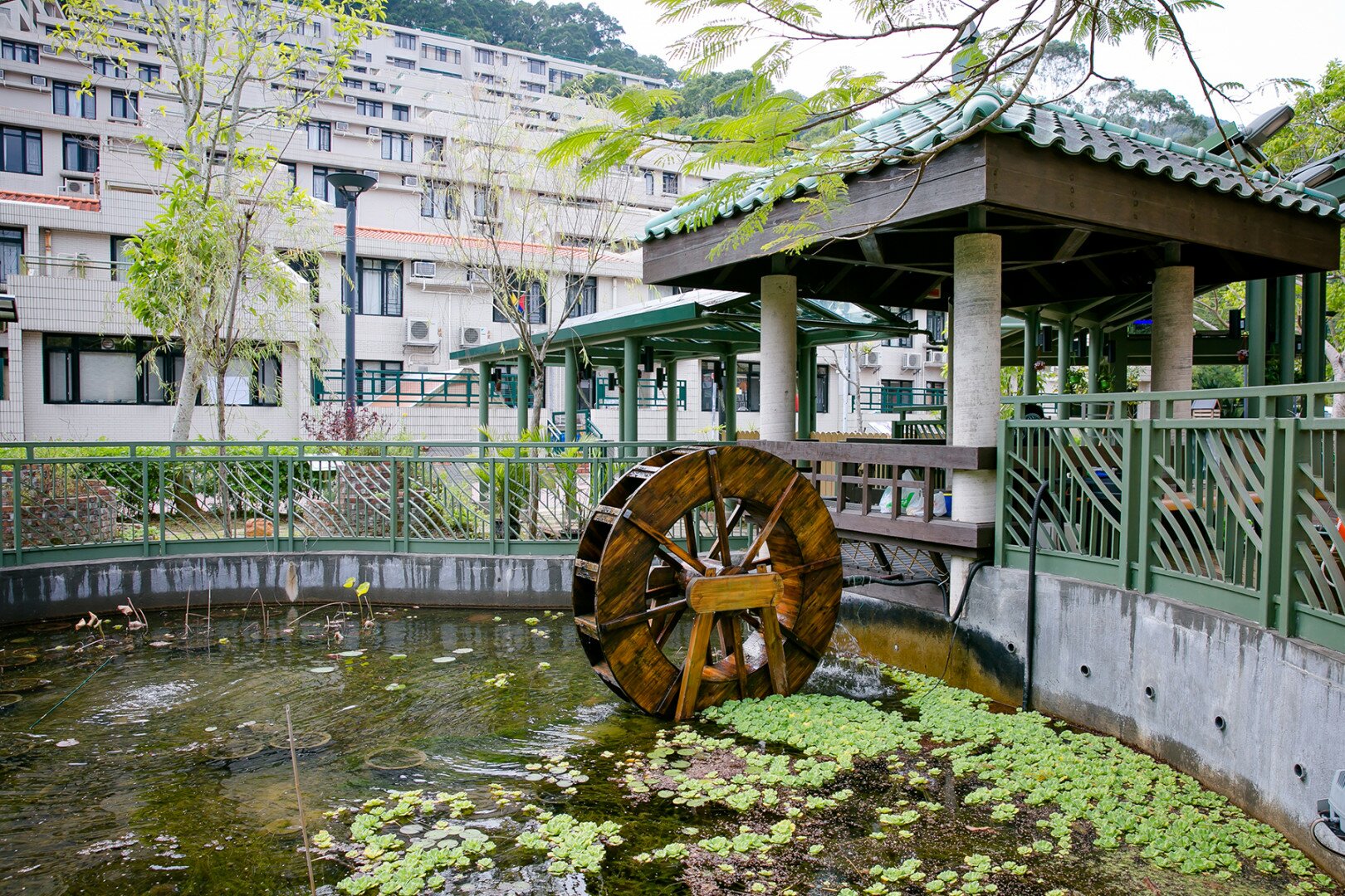 生態園