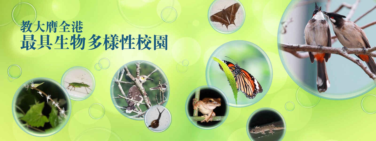 教大膺全港最具生物多樣性校園