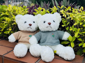 教大小熊（毛衣）