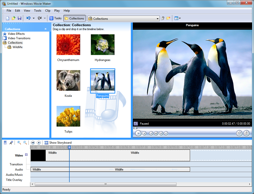 Adobe movie maker free download windows 8 4kporn video download