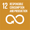 SDG12