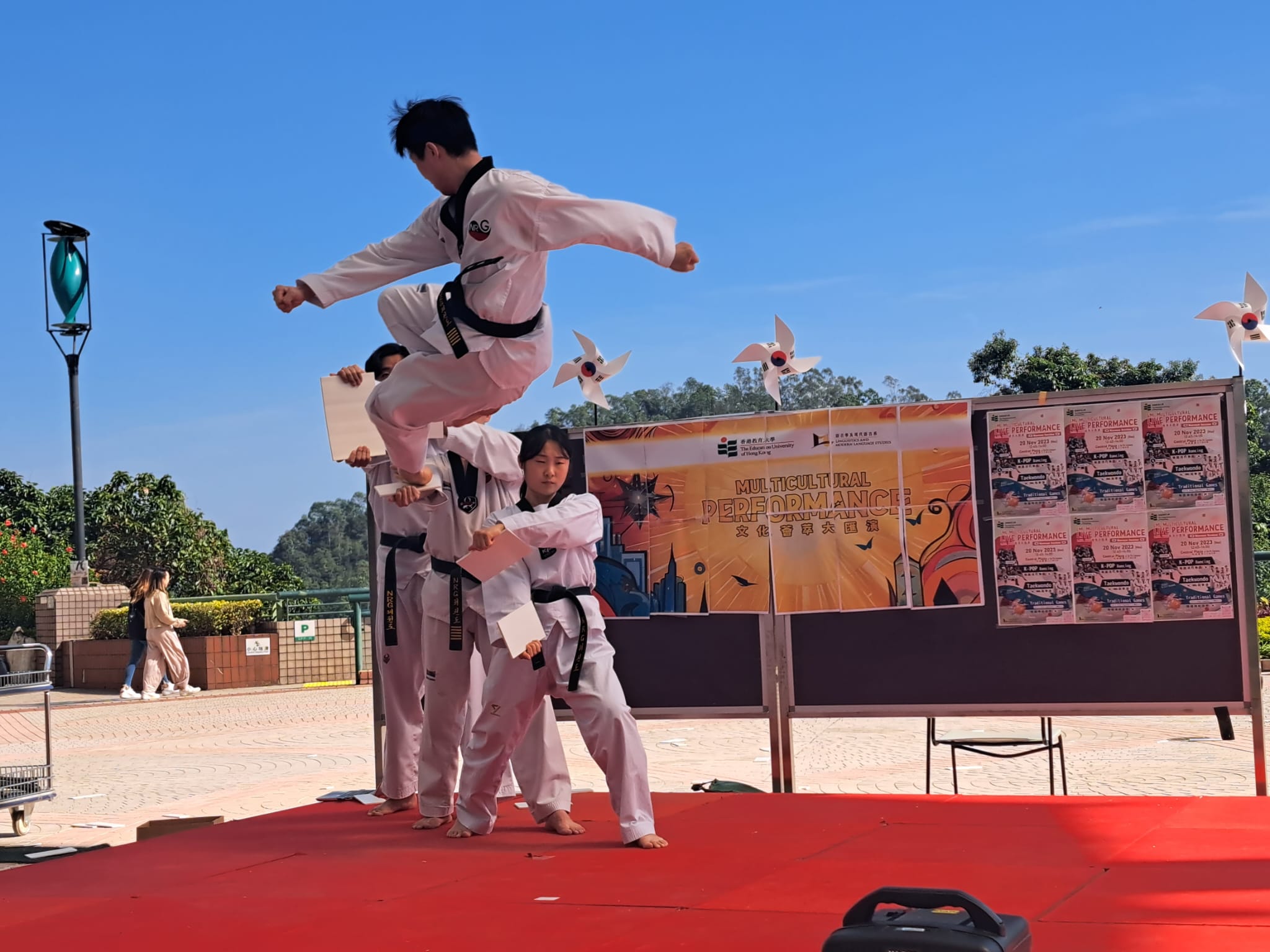 Taekwondo demonstration