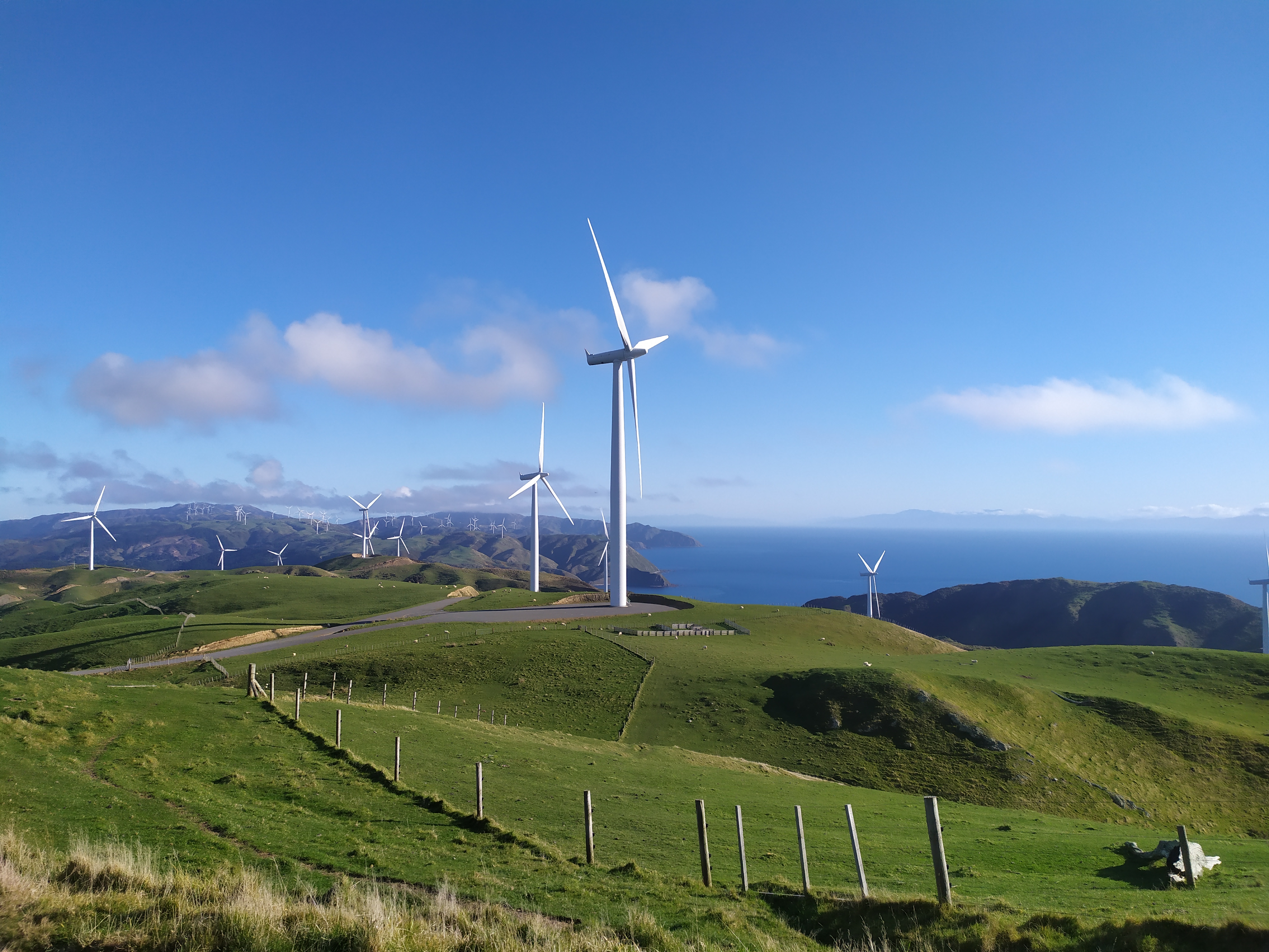 Wind farm in Wellington