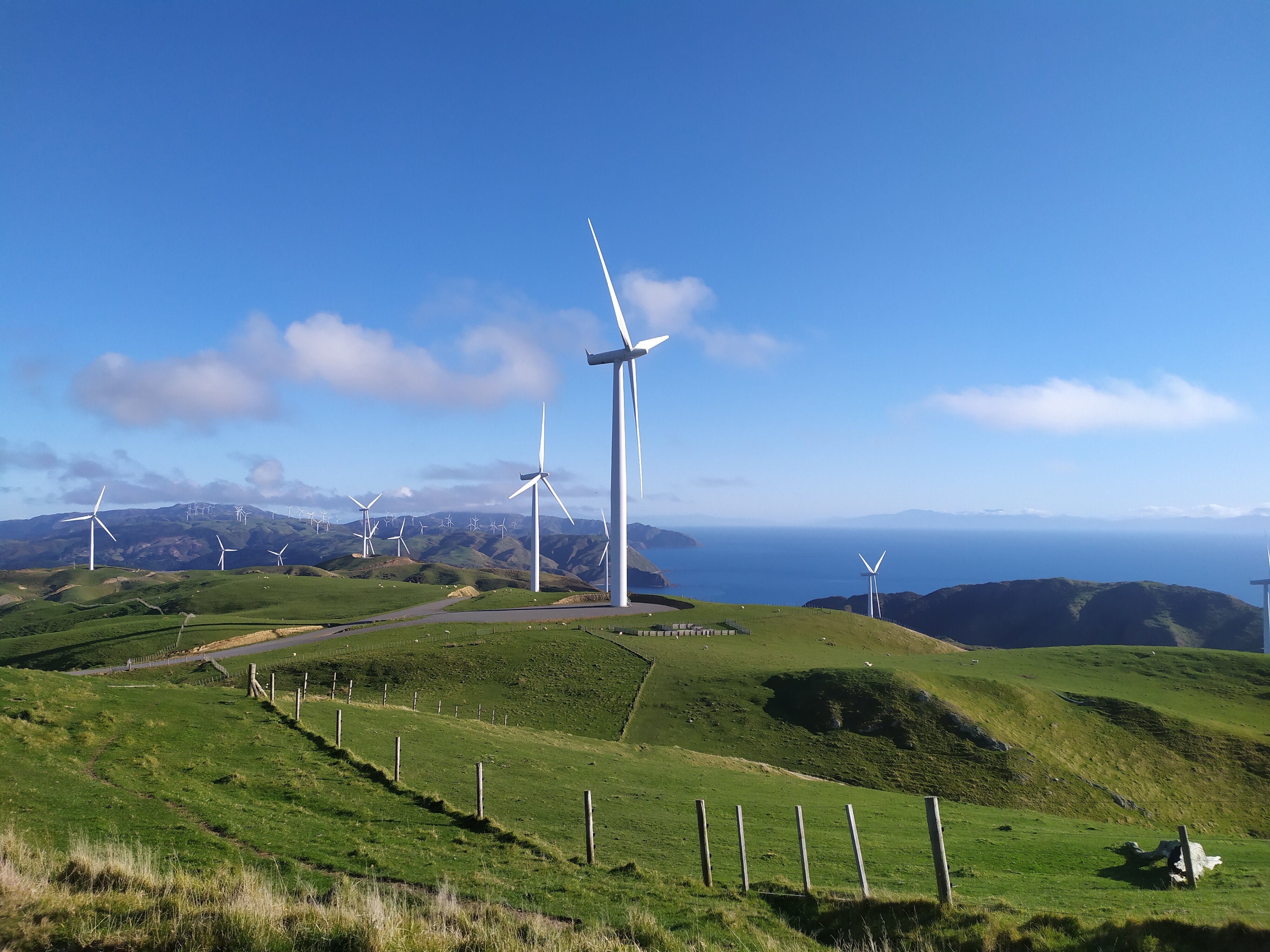 Wind farm in Wellington