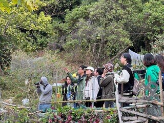 Observation of Butterflies and Writing Activities at Fung Yuen