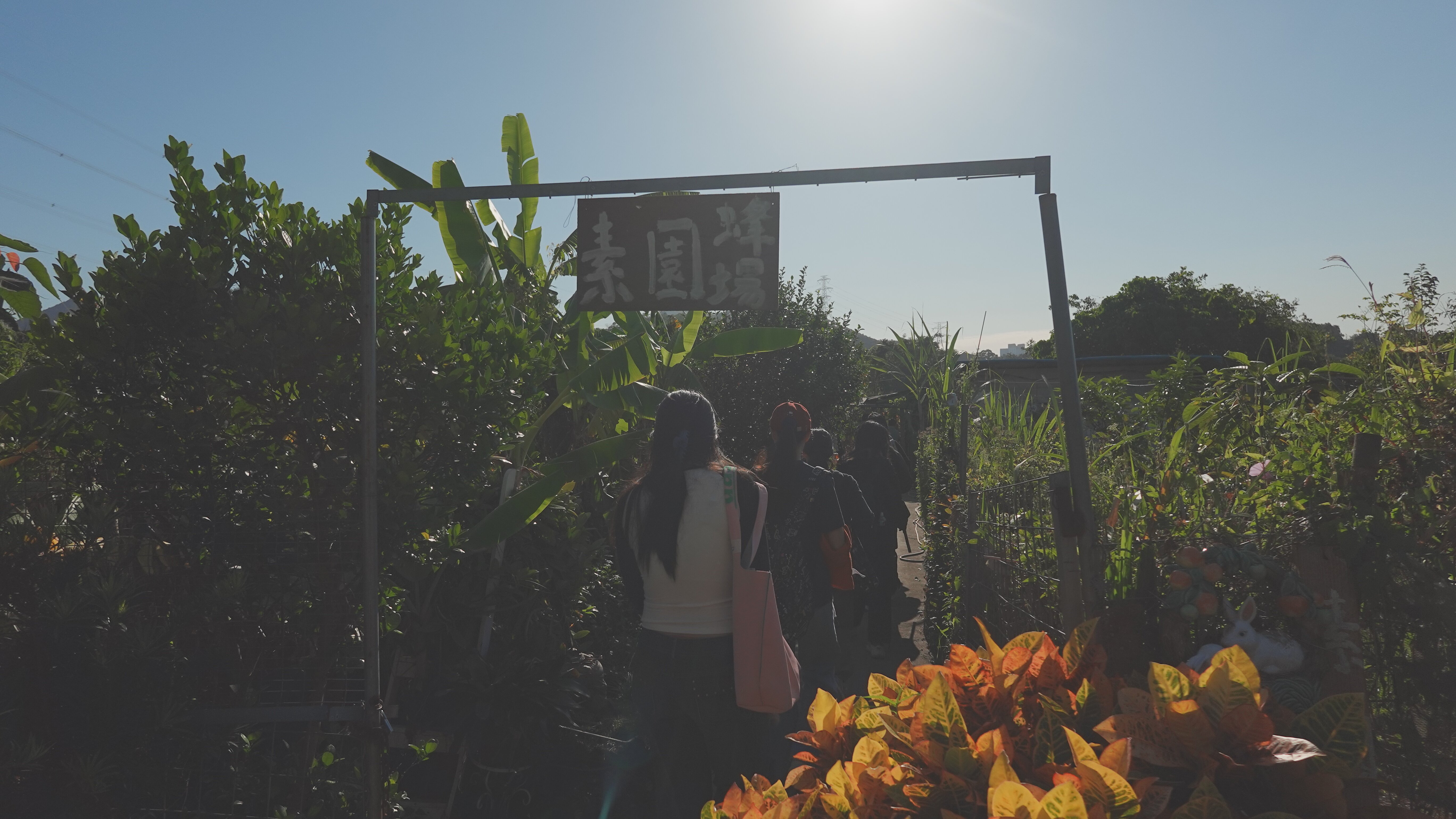 Participants observe sustainable apiculture at So Yuen Bee Farm