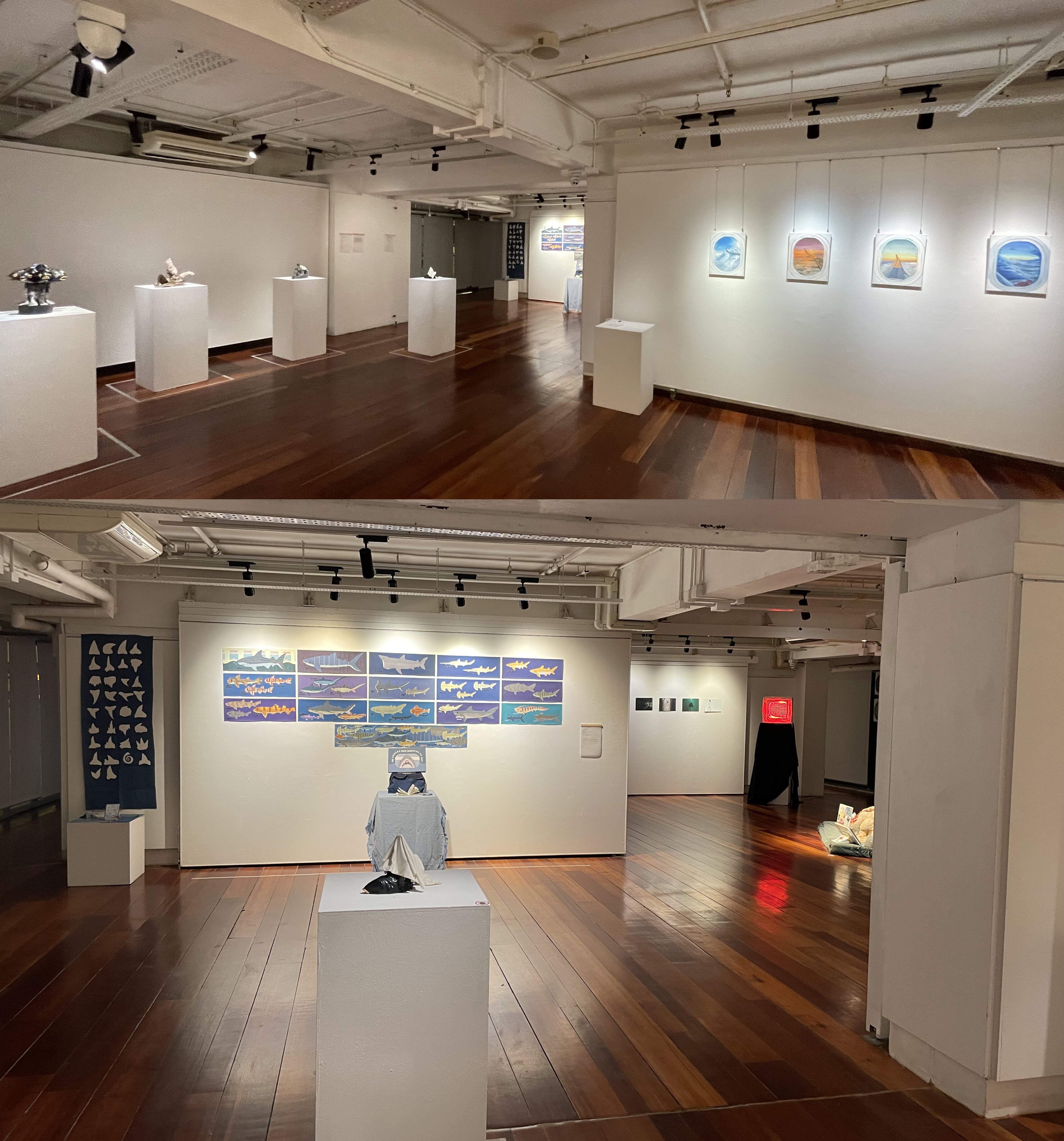 Artworks by BA(CAC) student artists