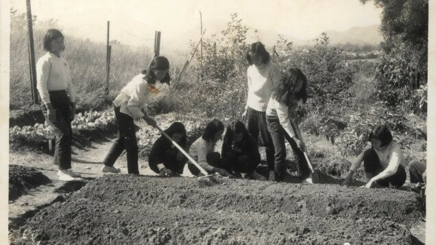 Students of Wah Shan Public School cultivating in school farm in "General Knowledge of Rural Life" class (Hong Kong) - Hong Kong Museum of Education thumbnail