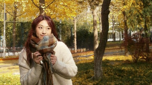 致京华春秋：在北师大的交换时光