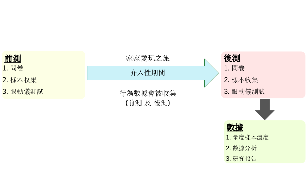 三至六岁的组别