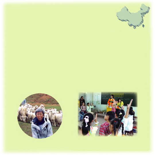 Around the world in 60 days