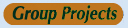 Group Projects