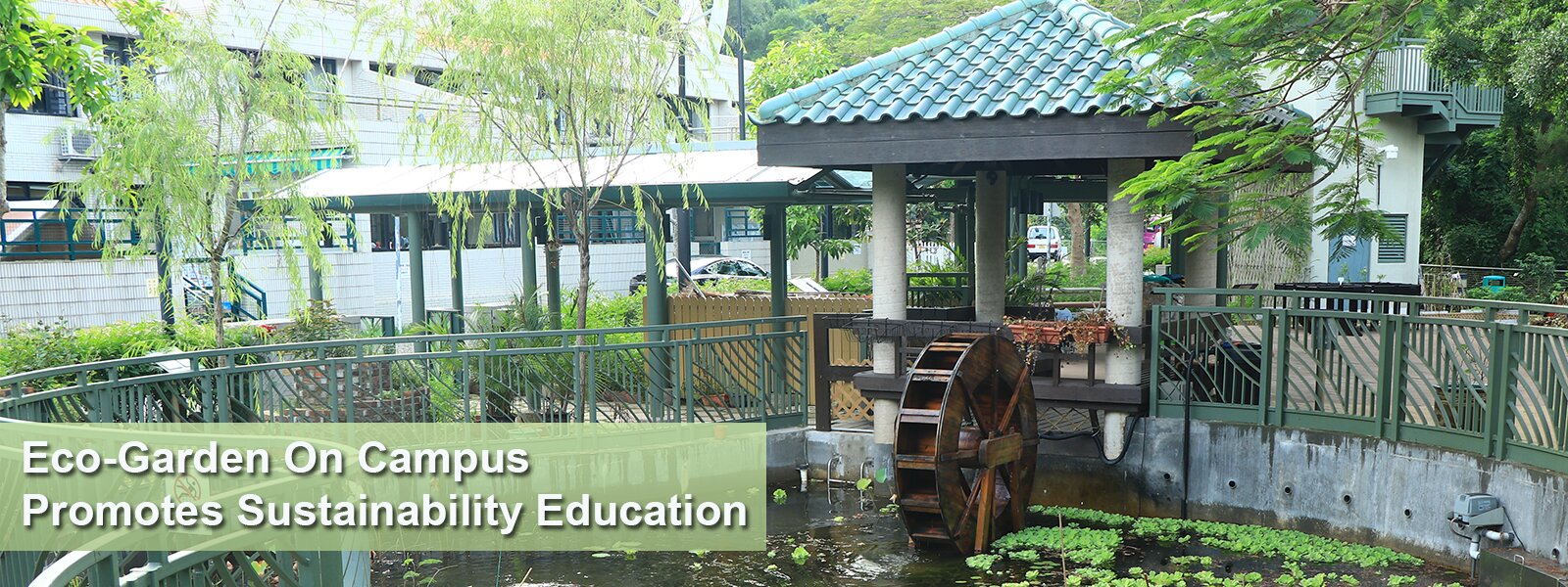 Eco-Garden On Campus Promotes Sustainability Education