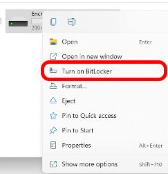 BitLocker setup
