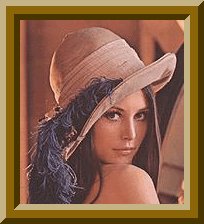 sample counter image display=image&dd=D&image=lenna.gif&frgb=8B6508&ft=20