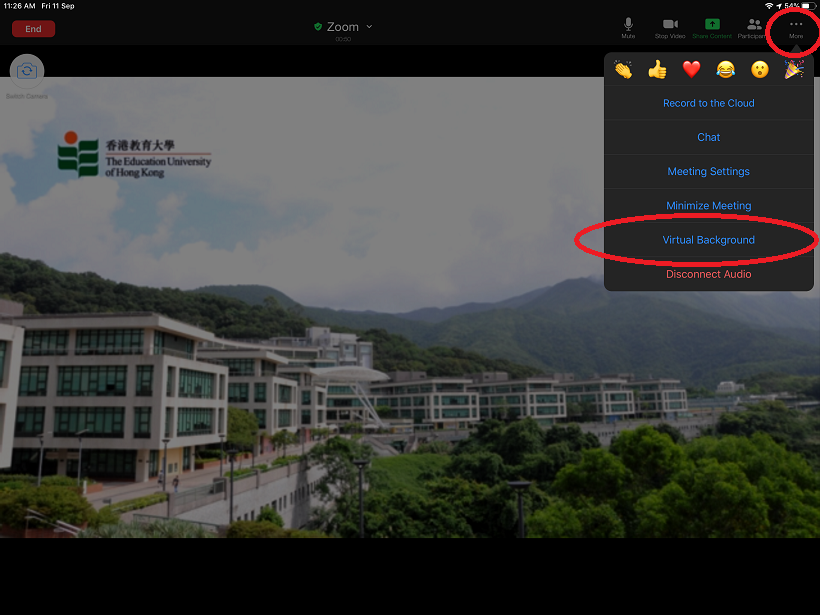 FAQ: How to enable Virtual Background for the Zoom meeting? | OCIO