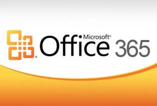 The Logo of MS Office 356