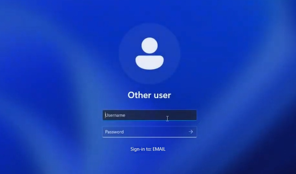 Windows 11 login screen