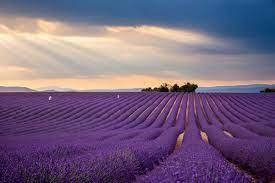 Self Photos / Files - France 1